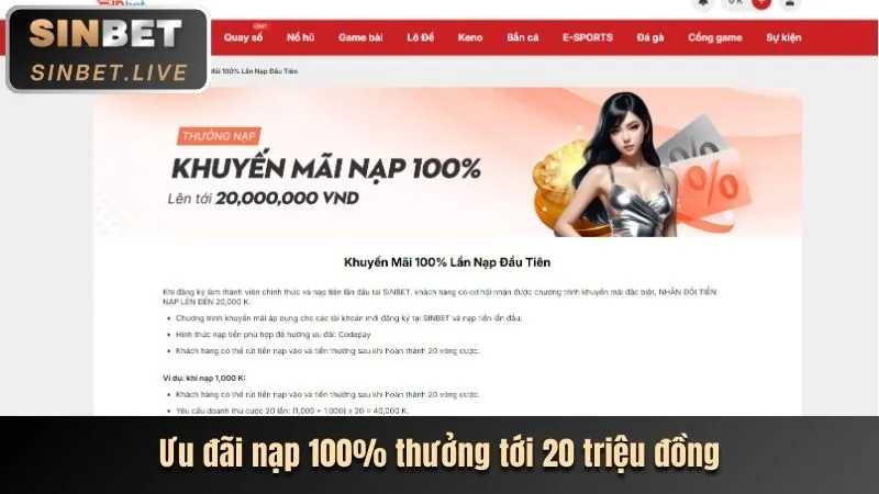 Ưu đãi và đăng ký bl55